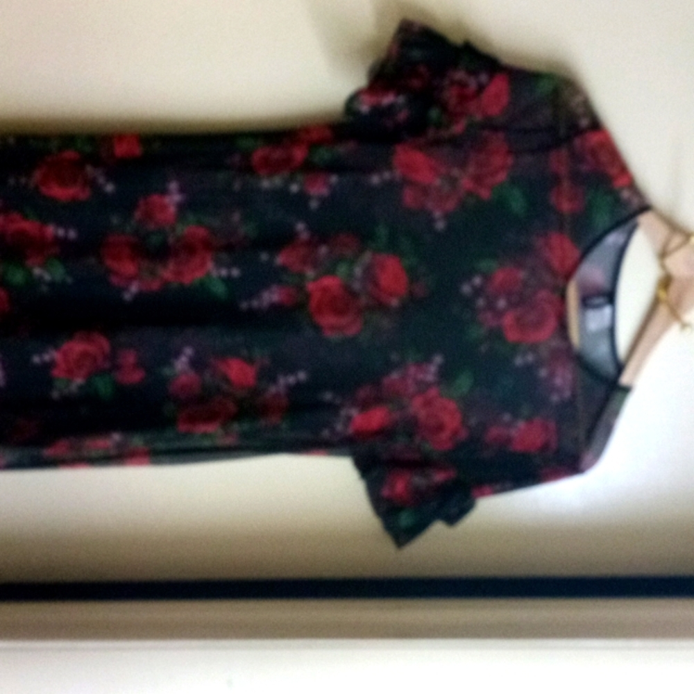 Divided bath suit cover or see thru dress